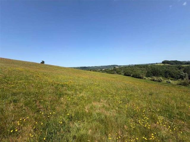 Property for sale in Broadwindsor, East Dorset