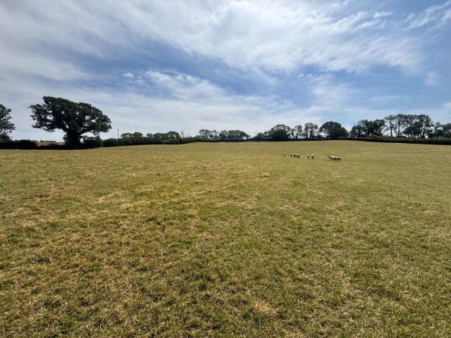 Property for sale in Ermington, South Hams