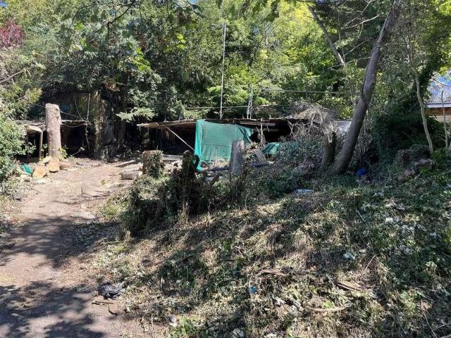 Property for sale in Surrey