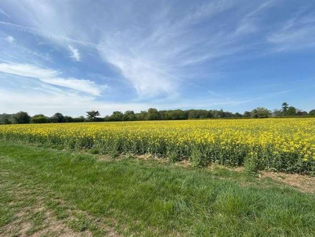 Property for sale in Berrick Salome, Oxfordshire