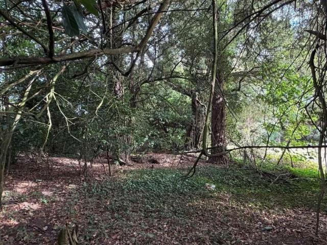 Property for sale in Nutfield, Tandridge