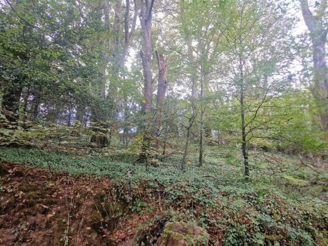 Property for sale in Treworga, Ruan Lanihorne