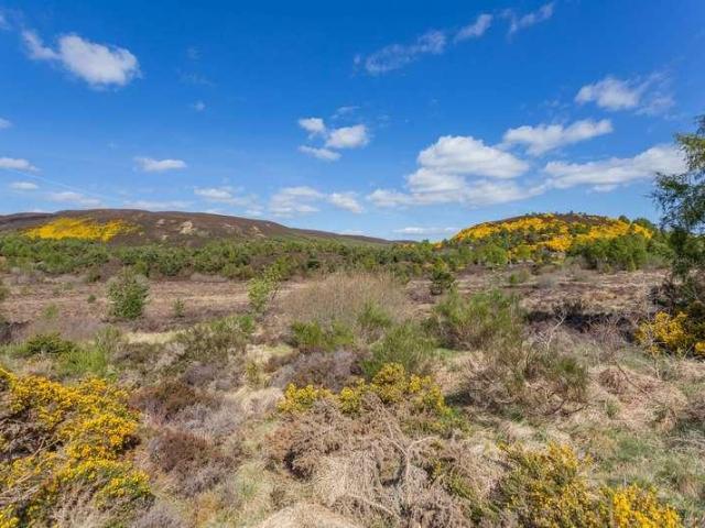Property for sale in Milton, Scotland