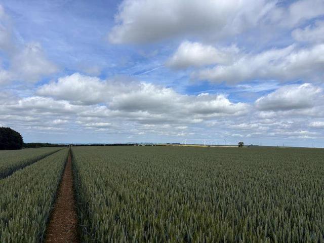 Property for sale in North Newbald, East Riding Of Yorkshire