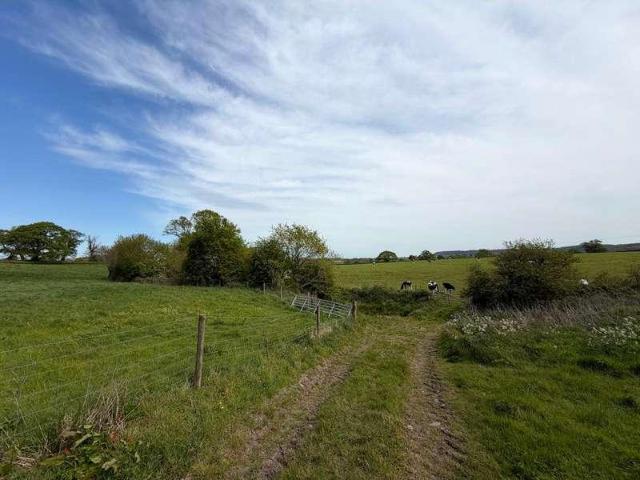 Property for sale in East Dorset