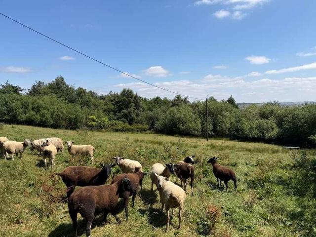 Property for sale in West Yorkshire