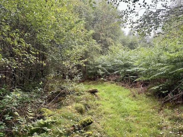 Property for sale in Wales