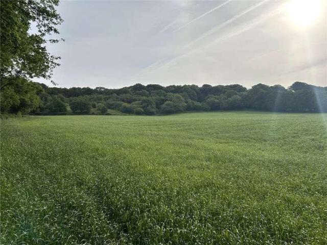 Property for sale in Newton St Cyres, Devon