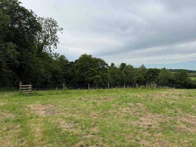 Property for sale in East Dorset