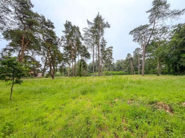 Property for sale in West Hill, Budlake