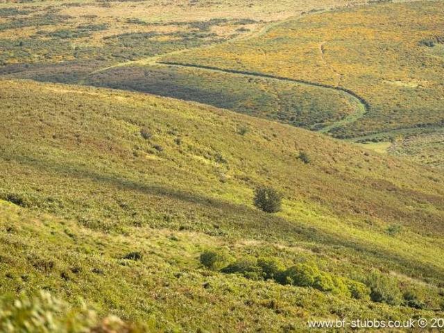 Property for sale in Strode, Devon