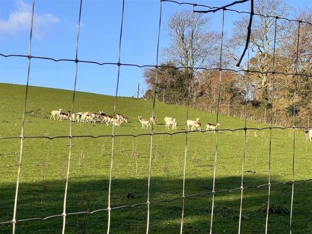 Property for sale in Shide, Isle Of Wight