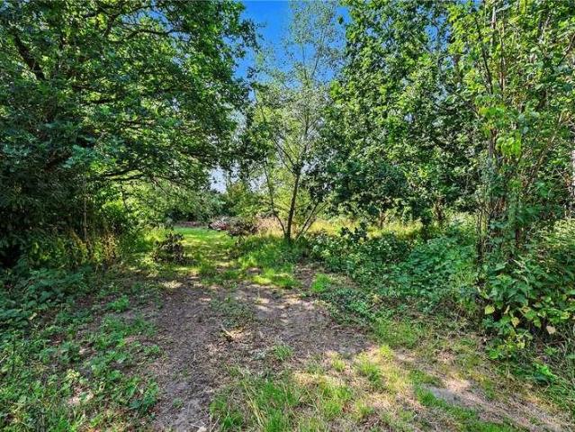 Property for sale in Crostwick, Norfolk