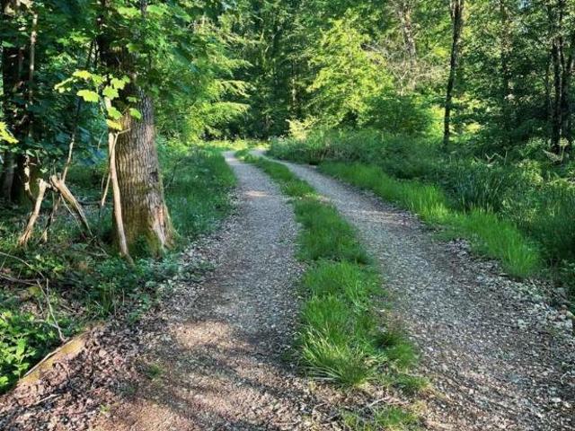 Property for sale in Teffont, Teffont Evias