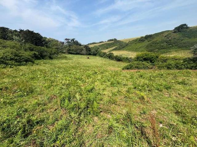 Property for sale in Strode, Devon