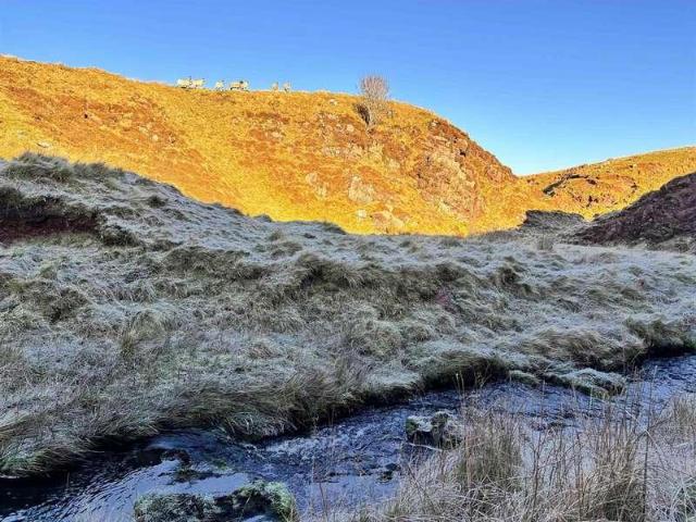 Property for sale in Scotland