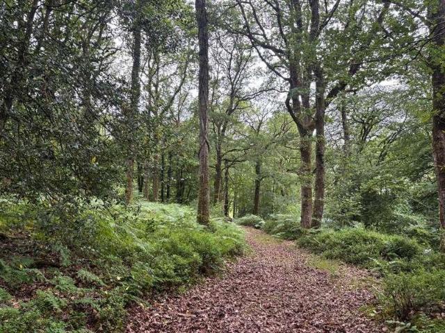 Property for sale in Stoodleigh, Mid Devon