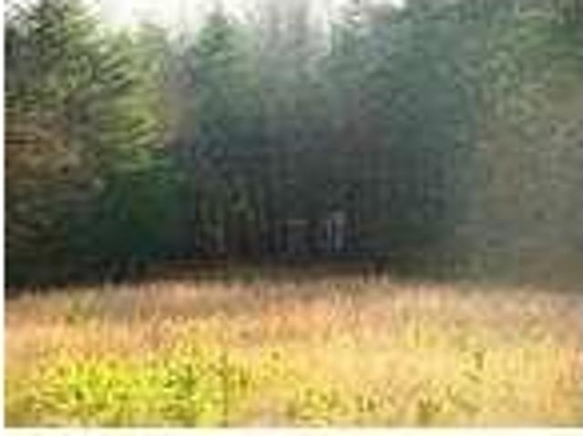 House for rent in Campobello
