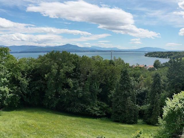 Einfamilienhaus kaufen in Dully, Waadt