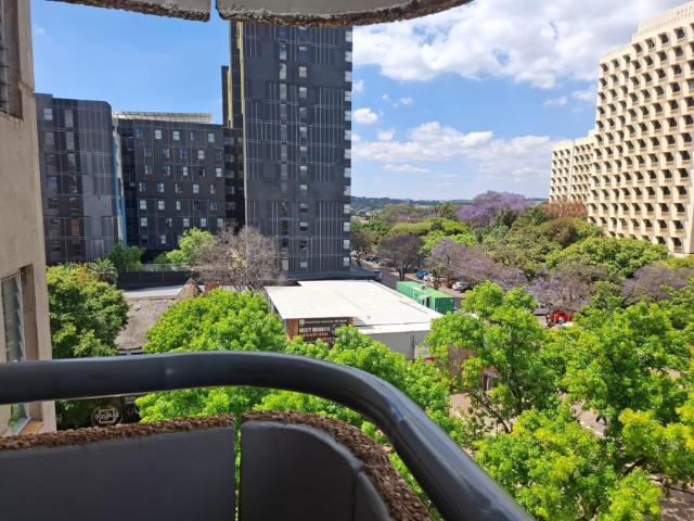 House for rent in Hatfield, Pretoria