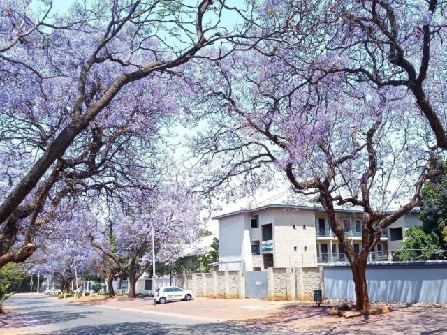 House for rent in Waterkloof, Gauteng