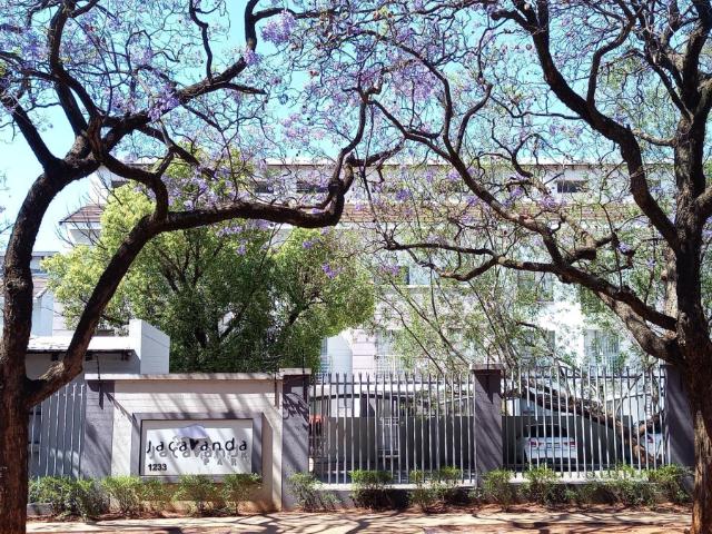 House for rent in Hatfield, Pretoria