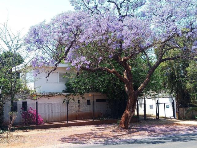 House for rent in Waterkloof, Gauteng