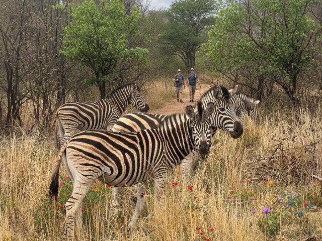 House for rent in Waterkloof, Gauteng