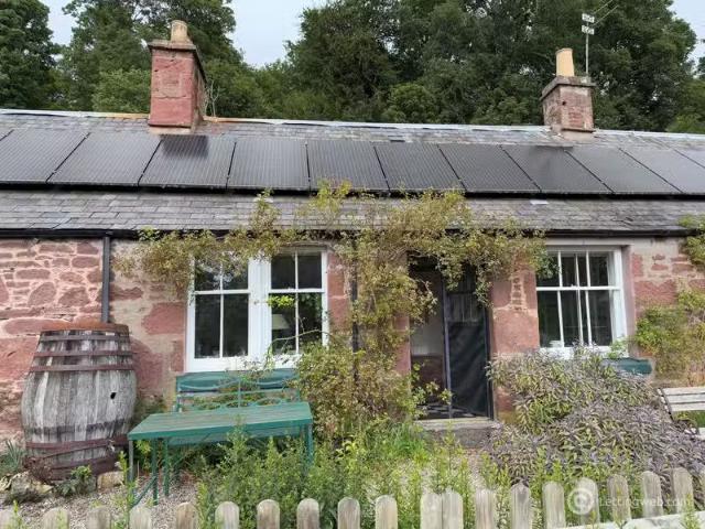 House for rent