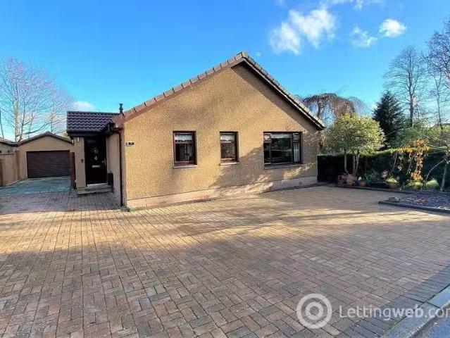 House for rent
