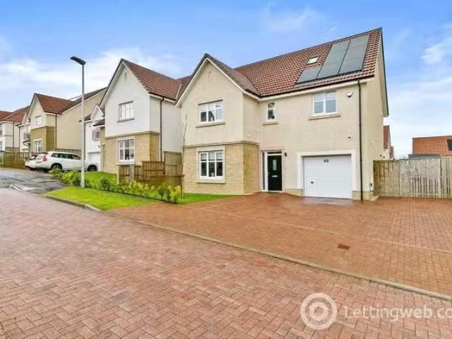 House for rent