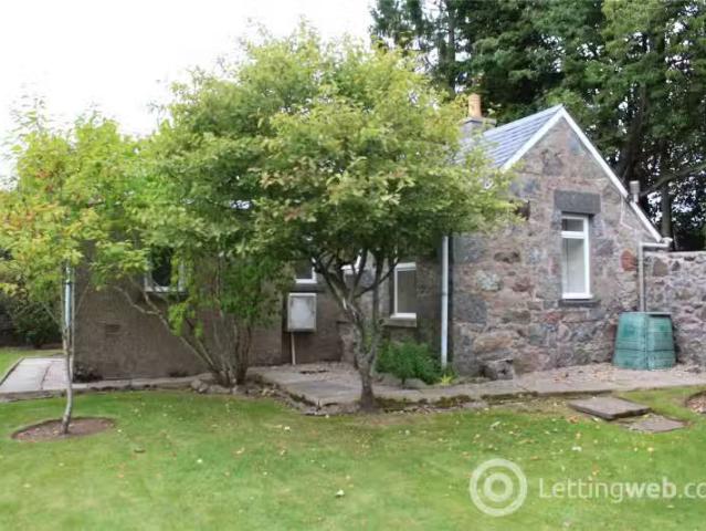 House for rent