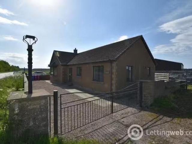 House for rent