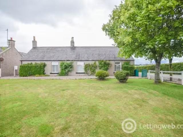 House for rent