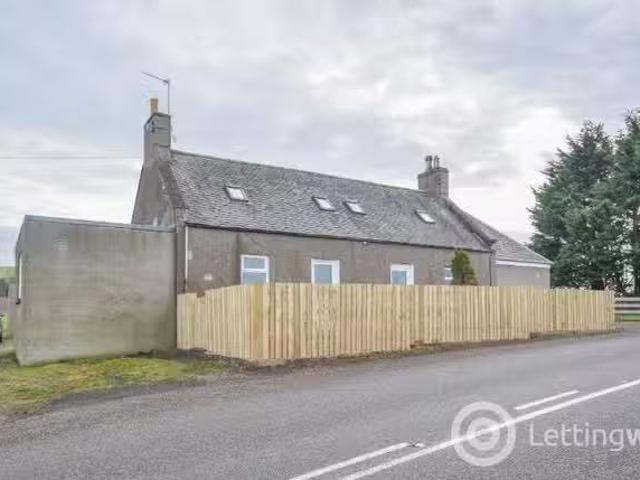 House for rent