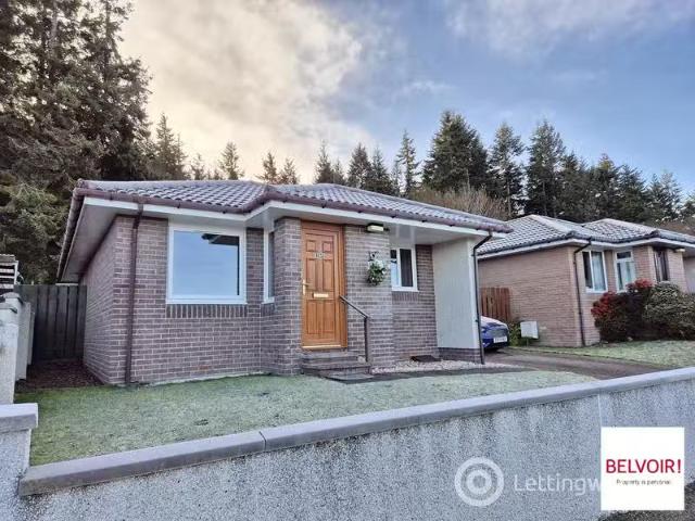 House for rent