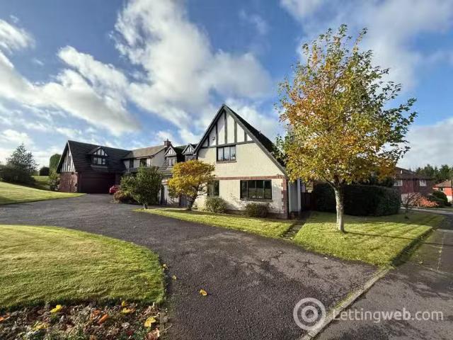 House for rent