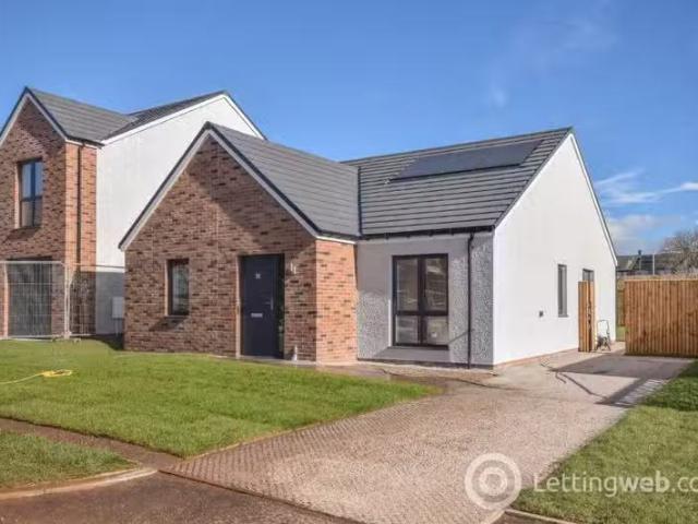 House for rent