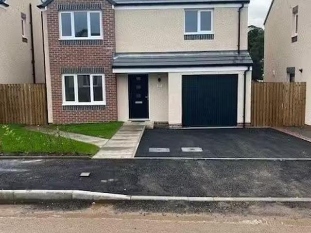 House for rent