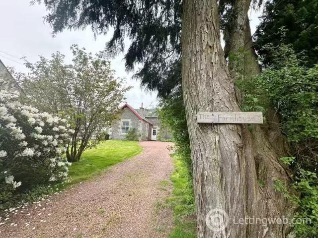 House for rent