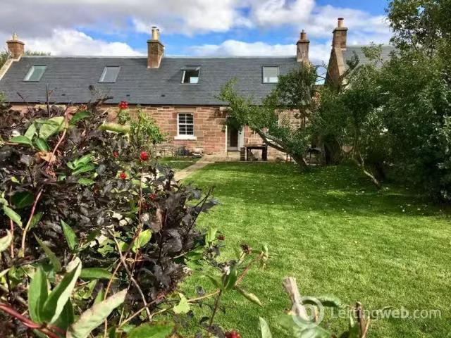 House for rent