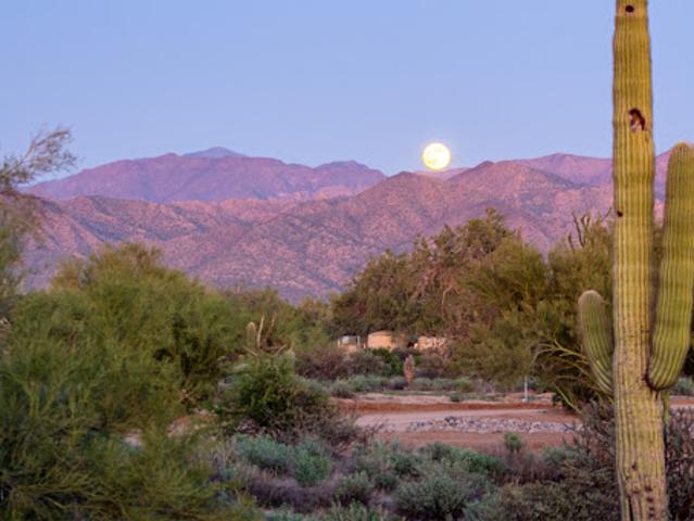 Property for sale in Scottsdale, Arizona