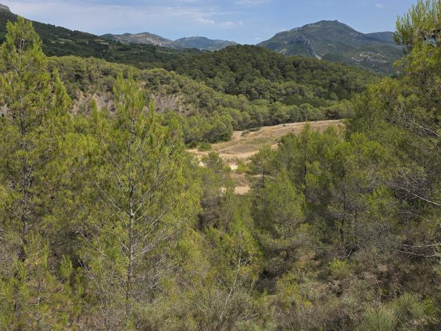 Terrain vente à Propiac