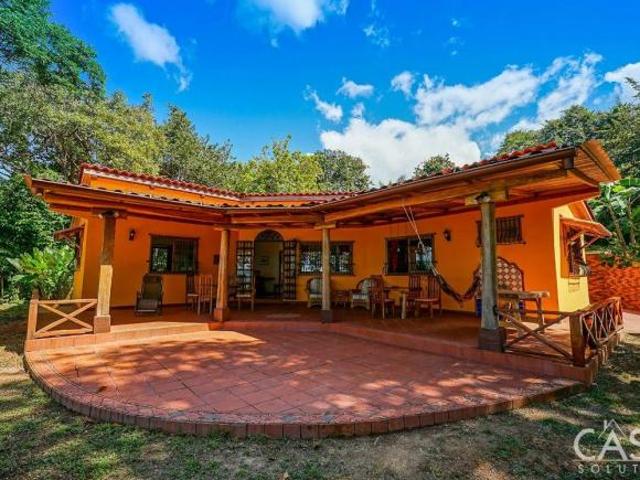 Precio Reducido! Propiedad De 2 Hectáreas Frente A La Playa En Punta Vittoria, Boca Chica Chiriquí