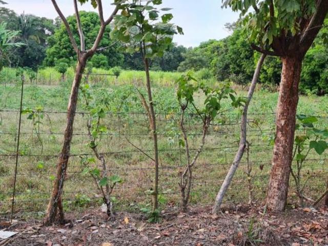 Terreno en venta en Tapachula, Chiapas