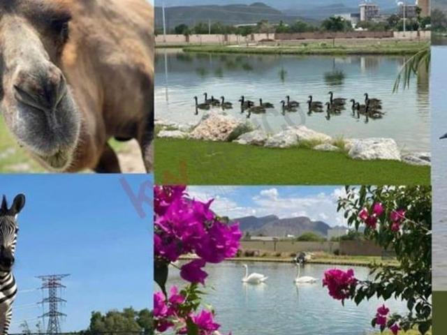 Terreno en venta en Lerdo, Durango