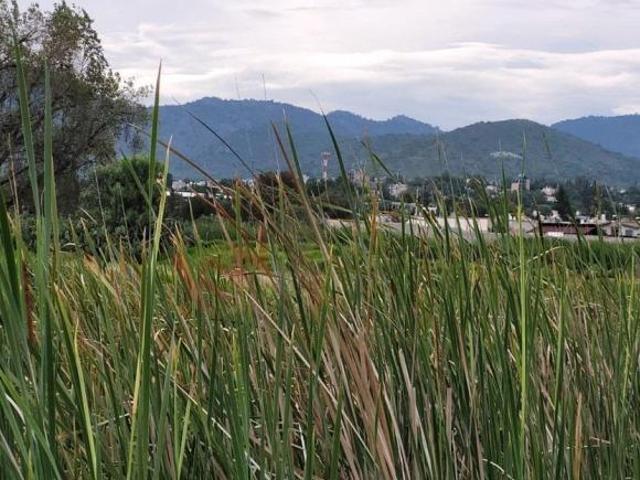 Terreno en venta en Calpulalpan, Tlaxcala