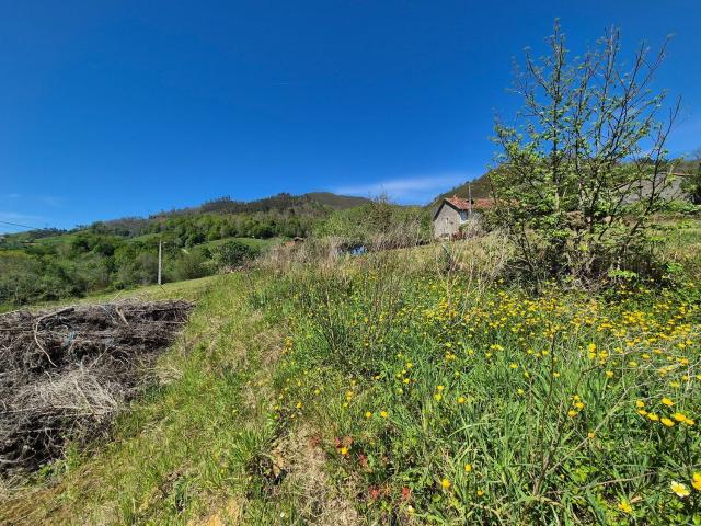 Terreno en venta en Cangas De Onís, Asturias