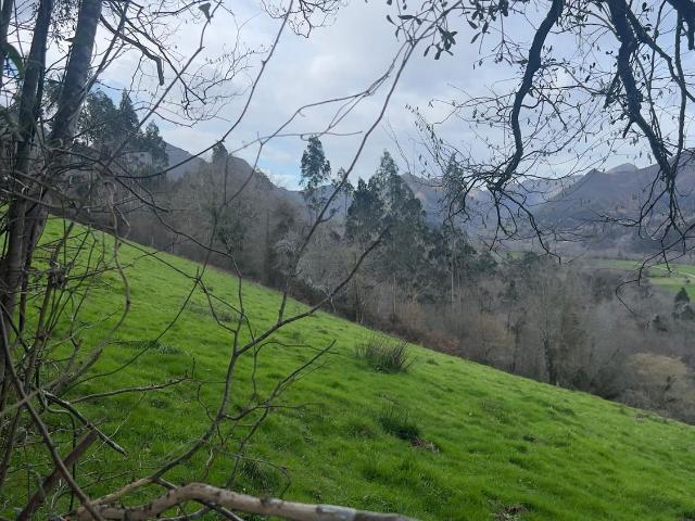 Terreno en venta en Llanes, Asturias