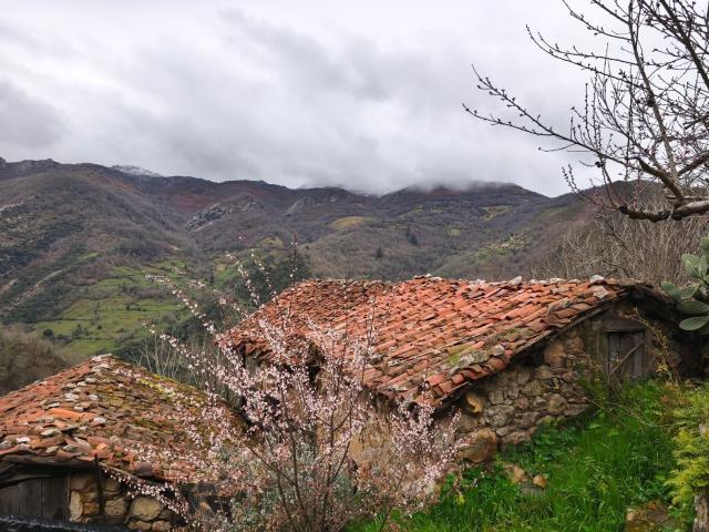 Casa en venta en Proaza, Asturias